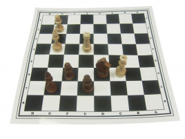 Доска для шахмат и шашек, ламинированная картонная р-р 305*305мм